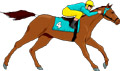 Horse Racer